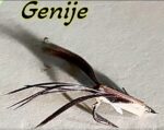 Musica genije glava