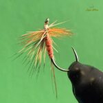 Red Fly 2