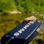 Kedis na Grickalici SIMMS Jože Hafner