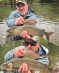 MixCollage-10-Jul-2025-glava