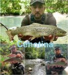 MixCollage-30-Jul-2025-glava natpis