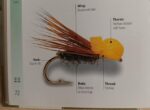 Balloon caddis 1