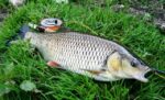 KLEN Puškadija jezero