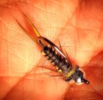 cd797acf-10dc-48d4-83b5-761388b0d478