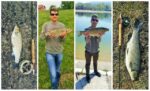 collage-klenovi-sa-jezera-Treska