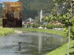 Glava