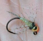 Larva-ili-nimfa-kedisa