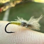 emerger