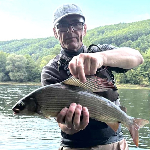 Lipljan 50cm sa Drine – Živojin Todorović