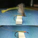 Vladimir-Petrovic-Oholi