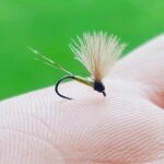 maslinka na 20# Anes Jusović