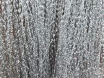 silver-lameta flash