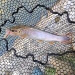 645452668_1513463577451865_1839966078203686902_n