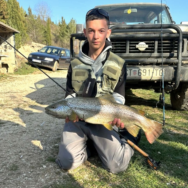Potočna pastrmka 67cm – Dane Delija