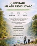 Plakat web